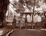 Sukkah at the Etz Ha�m (AKA HANAN)